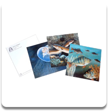 Postcard Mix 10 pcs