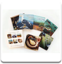 Coasters 6 pcs
